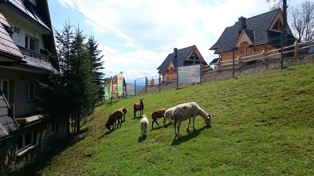 Willa Skorusyna Gliczarow Bagian luar foto