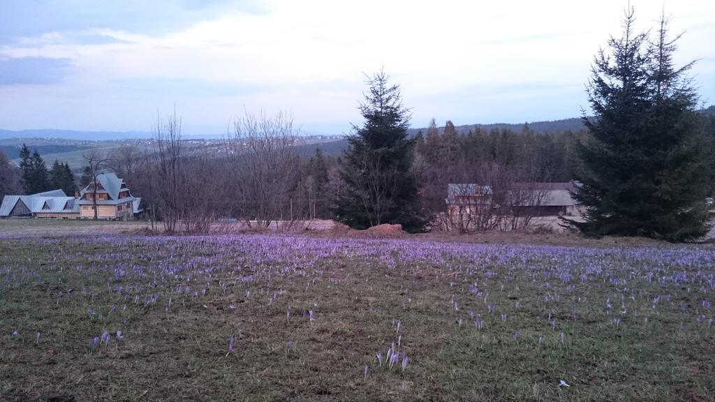 Willa Skorusyna Gliczarow Bagian luar foto