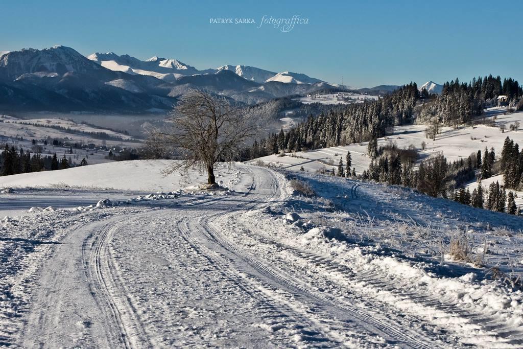 Willa Skorusyna Bed & Breakfast Gliczarow Bagian luar foto