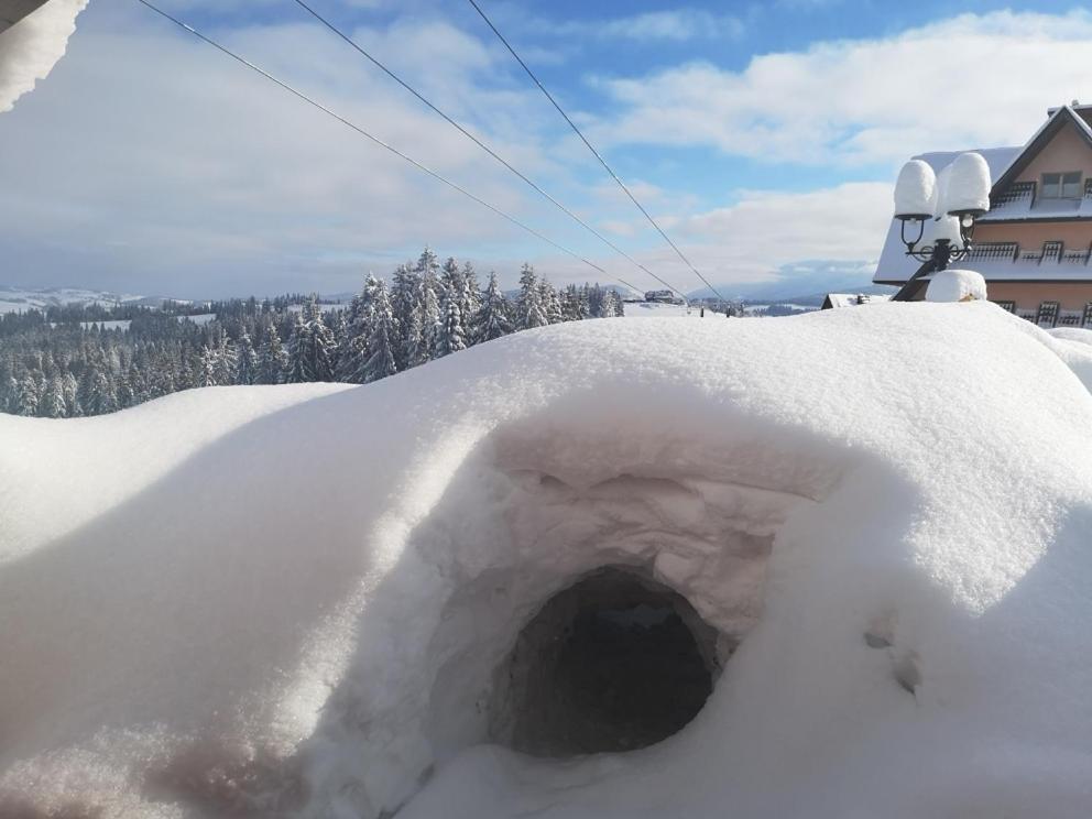 Willa Skorusyna Bed & Breakfast Gliczarow Bagian luar foto