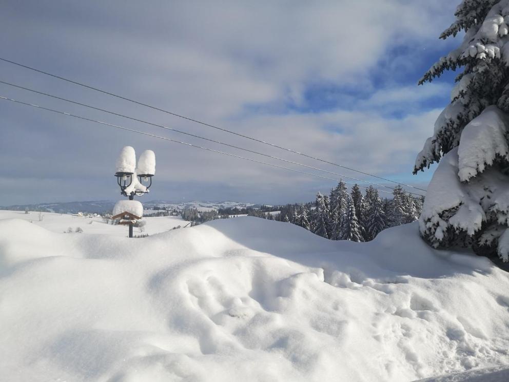 Willa Skorusyna Bed & Breakfast Gliczarow Bagian luar foto