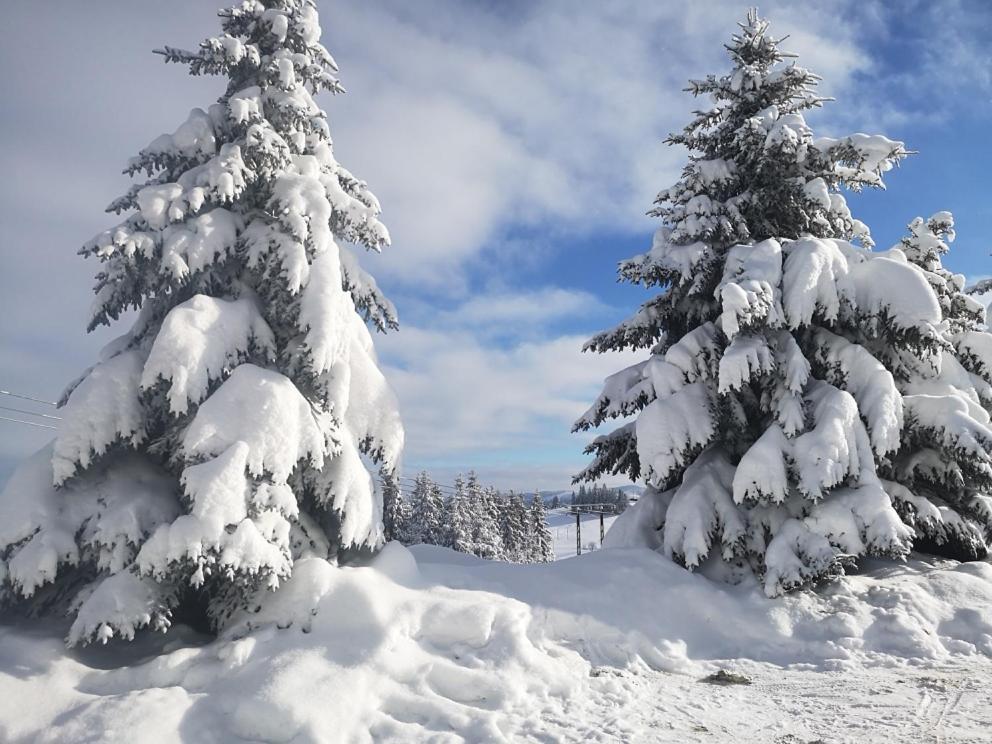 Willa Skorusyna Bed & Breakfast Gliczarow Bagian luar foto